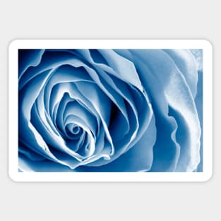 Blue Rose Macro Sticker